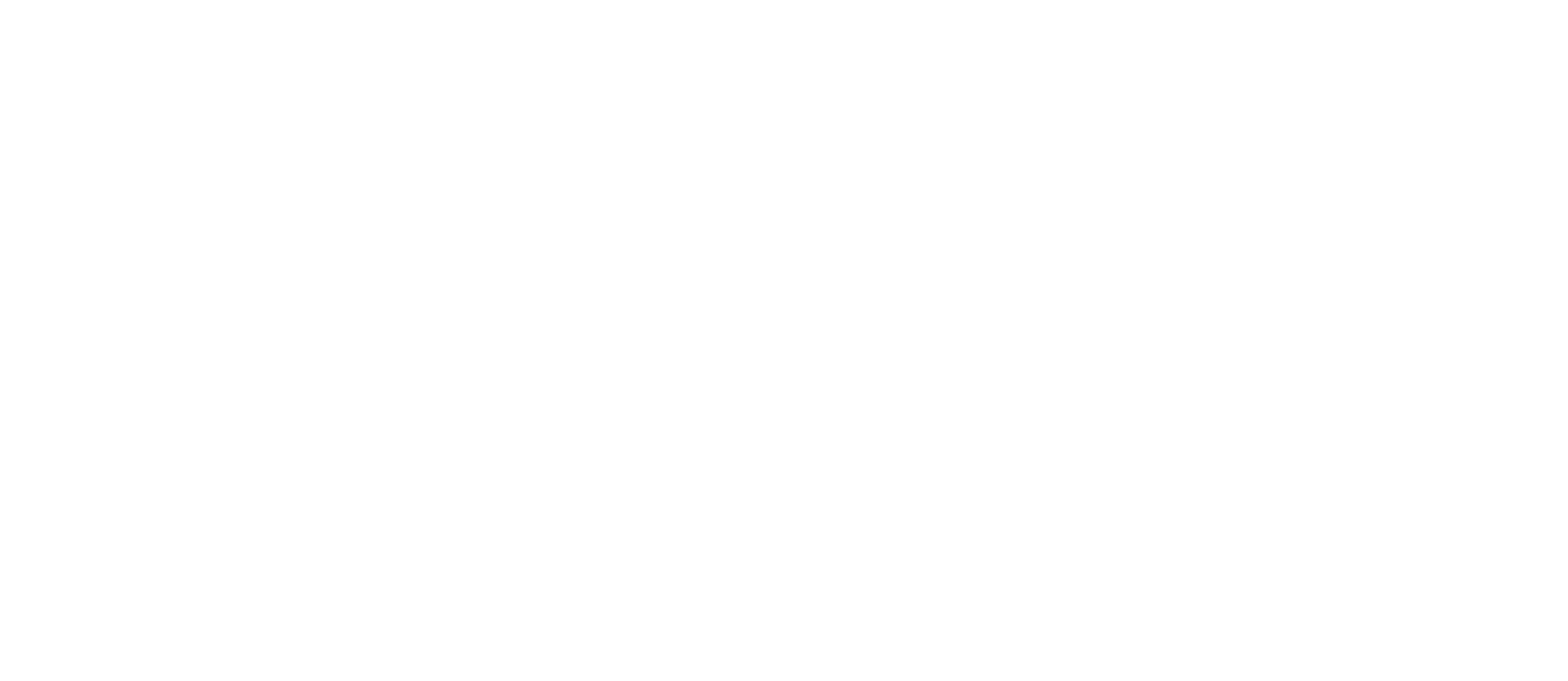 Viktoria Petrova Academy